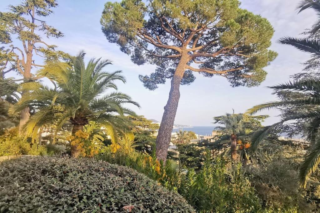 Appartement Nice Centre Vue Mer Avec Piscine Pour Famille, Couple D'Amis Pas De Groupes De Jeunes Autorises Extérieur photo